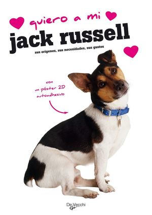 QUIERO A MI JACK RUSSEL