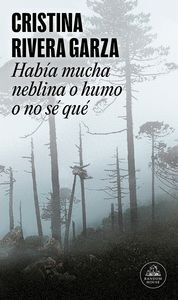 HABIA MUCHA NEBLINA O HUMO O NO SE QUE