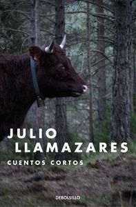 CUENTOS CORTOS - LLAMAZARES