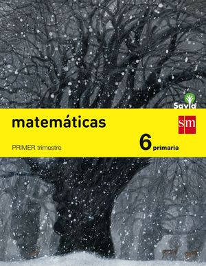 MATEMATICAS. 6ºEP TRIMESTRES SAVIA 2015