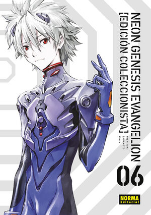 NEON GENESIS EVANGELION VOL.6