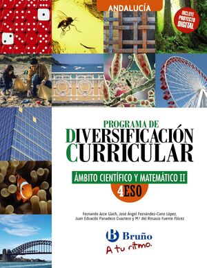 DIVERSIFICACIÓN CURRICULAR ÁMBITO CIENTÍFICO Y MATEMÁTICO  4 ESO 2024