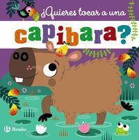 QUIERES TOCAR A UNA CAPIBARA?