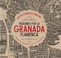 PASEANDO POR LA GRANADA FLAMENCA