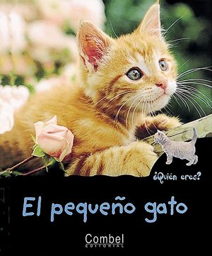 EL PEQUEÑO GATO