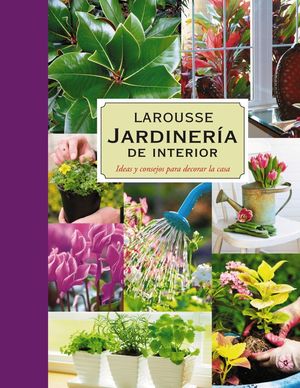 JARDINERIA DE INTERIOR, IDEAS Y CONSEJOS PARA DECORAR LA CASA