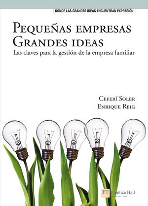 PEQUEÑAS EMPRESAS GRANDES IDEAS