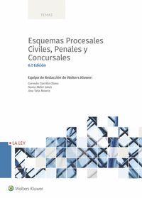 ESQUEMAS PROCESALES CIVILES, PENALES Y CONCURSALES (6.ª EDICIÓN)