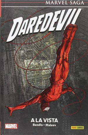 DAREDEVIL 6 A LA VISTA