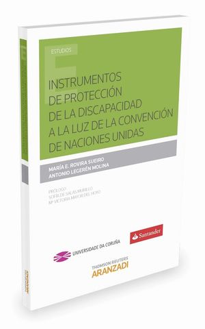 INSTRUMENTOS DE PROTECCION DE LA DISCAPACIDAD A LA LUZ DE LA