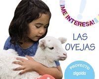PROYECTO 