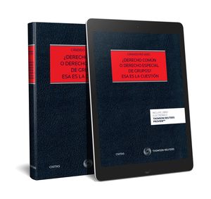 ¿DERECHO COMÚN O DERECHO ESPECIAL DE GRUPOS? ESA ES LA CUESTIÓN (PAPEL + E-BOOK)