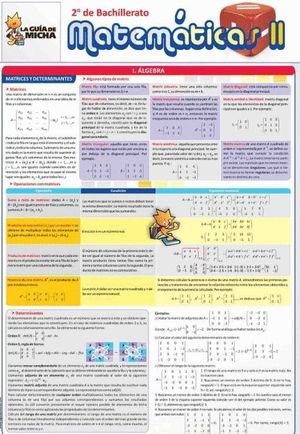 MATEMATICAS -II- 2 BACH. LA GUIA DE MICHA