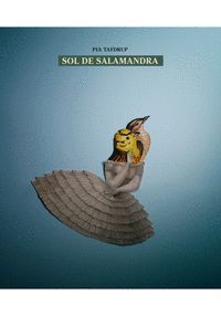 SOL DE SALAMANDRA