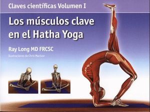 LOS MUSCULOS CLAVE EN EL HATHA YOGA