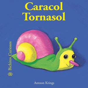 CARACOL TORNASOL (T)