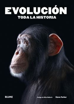 EVOLUCION TODA LA HISTORIA