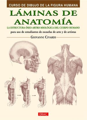 LAMINAS DE ANATOMIA