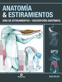 ANATOMIA Y ESTIRAMIENTOS