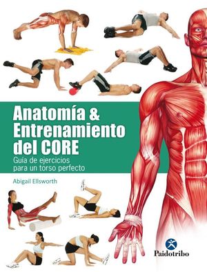 ANATOMIA & ENTRENAMIENTO DEL CORE