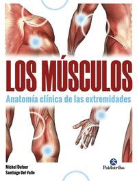 LOS MÚSCULOS. ANATOMÍA CLÍNICA DE LAS EXTREMIDADES