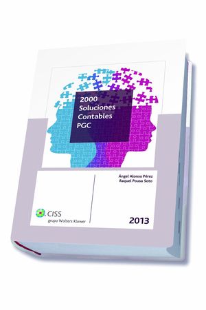 2000 SOLUCIONES CONTABLES PGC 2013