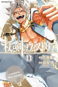 WISTORIA. WAND & SWORD VOL. 11