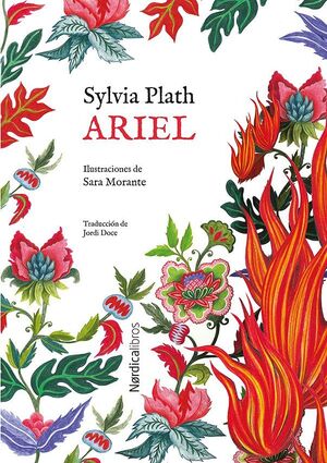ARIEL EDICION ESPECIAL CON ILUSTRACION DE REGALO